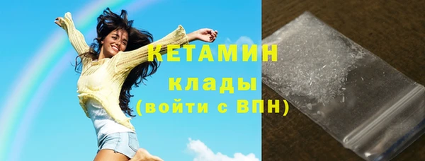 крисы Алексин